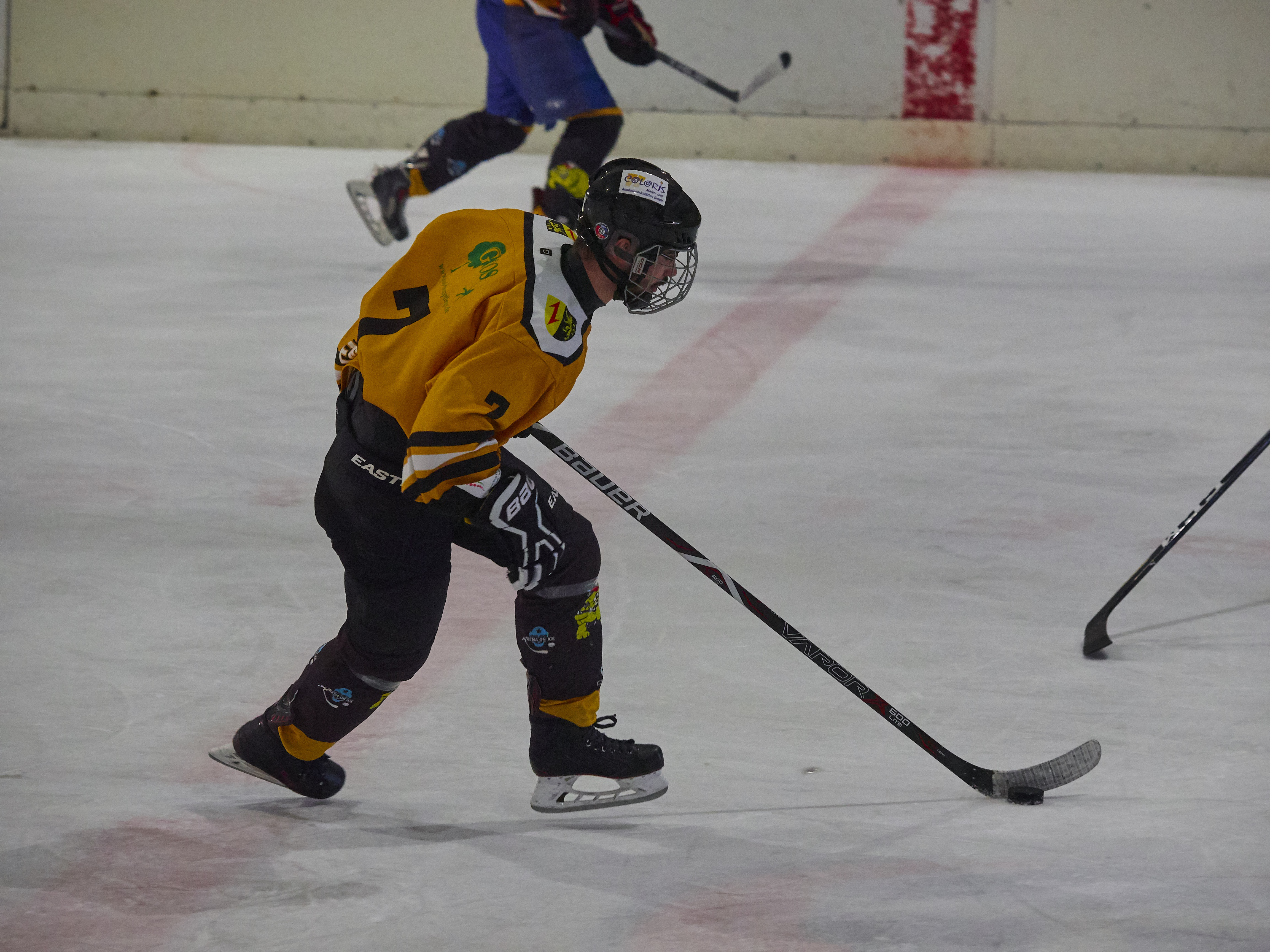 DPL Finale 2018 P4081104